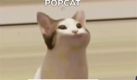 popcat unblocked